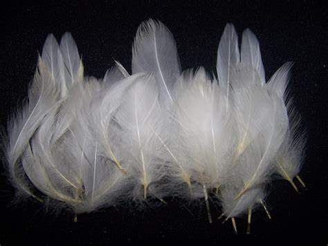 4-6cm grey goose feather