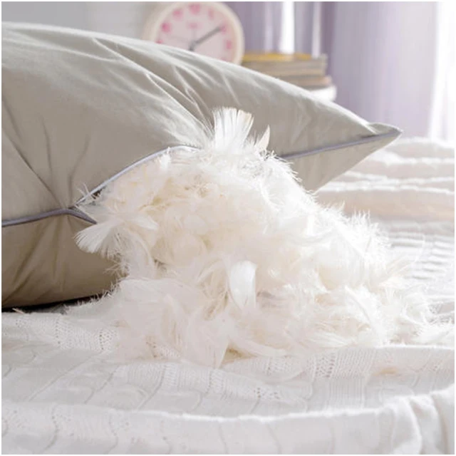 6-8cm white duck feather