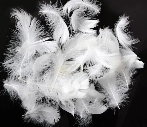 2-4cm white duck feather