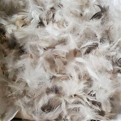 2-4cm grey duck feather