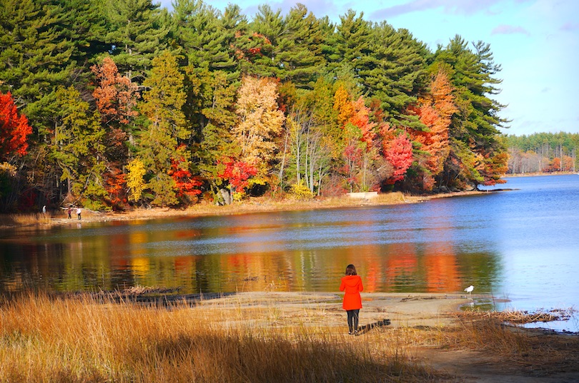 lake_massabesic