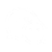 关注我们