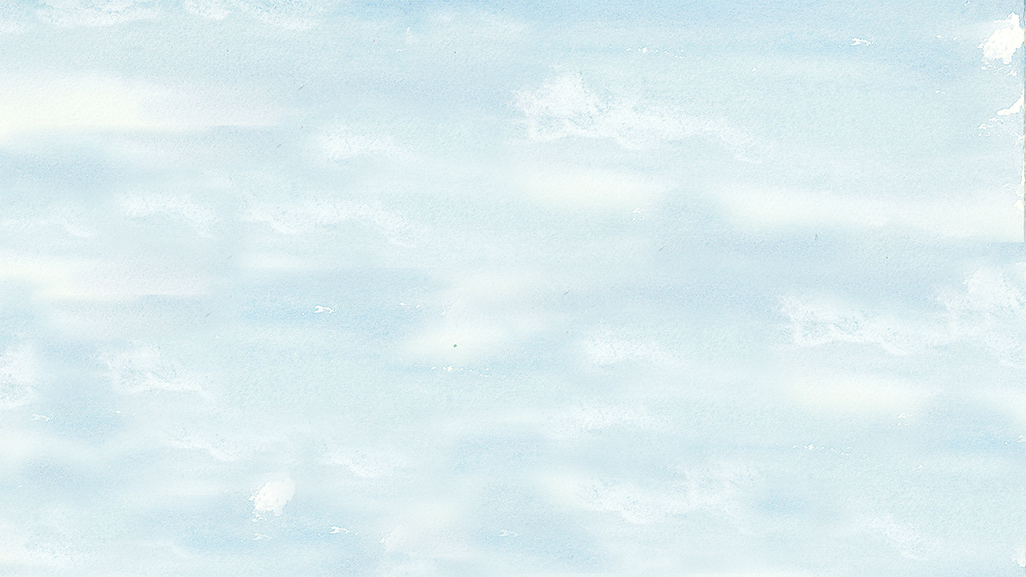 描述