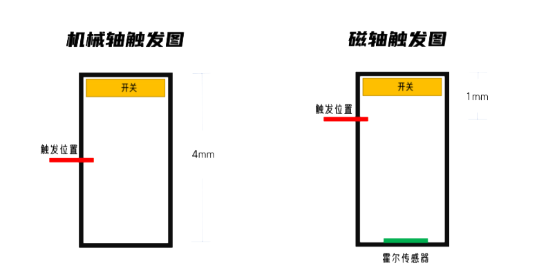WPS图片(3)