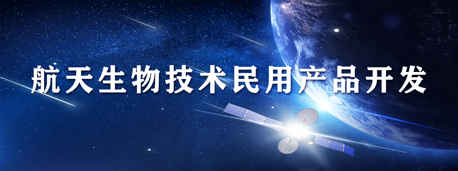 企业微信截图_17305372843080
