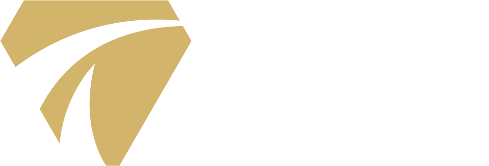 描述