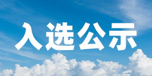 公示
