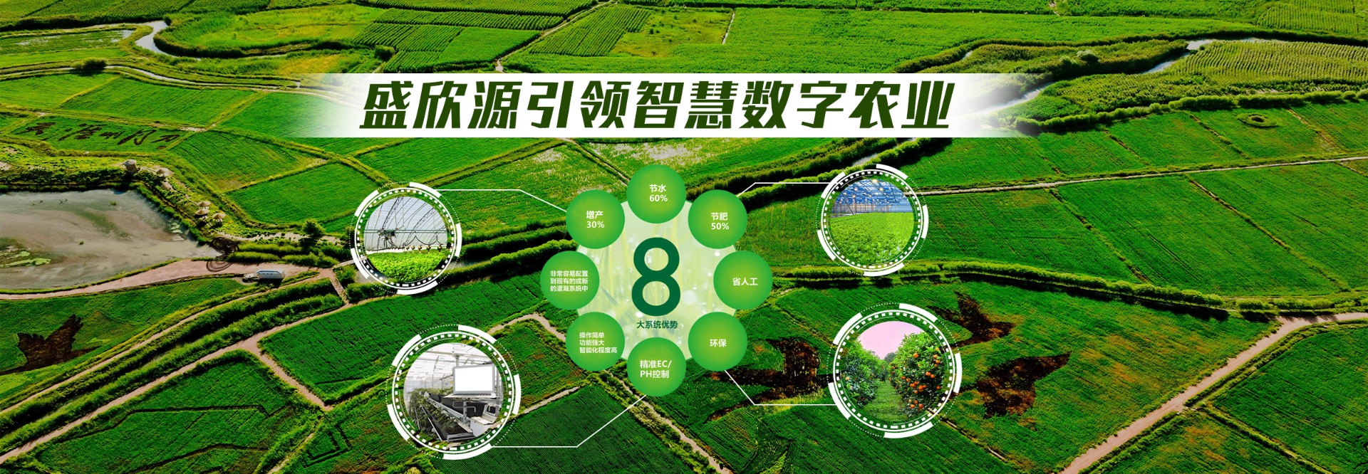辽宁盛欣源