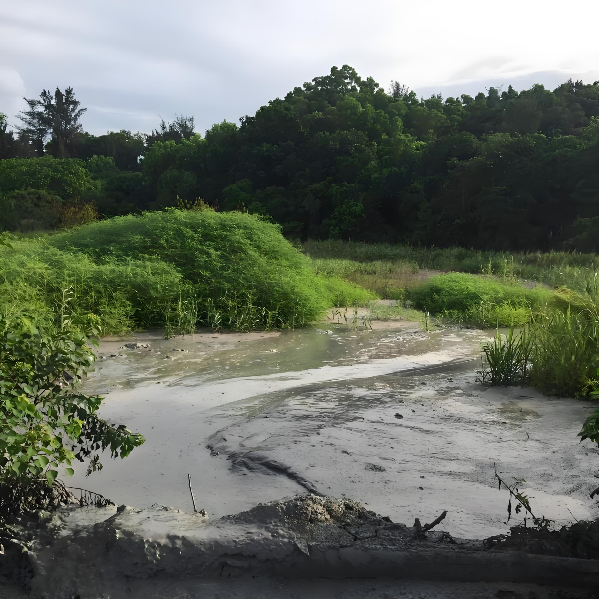 固体废弃物检测
