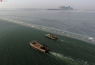 噪声、振动环境损害鉴定