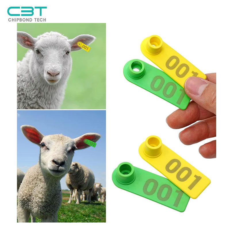 Goats/Sheep RFID Ear Tags, Custom Personalized Ear Tag