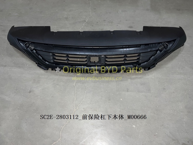 The lower body of front bumper