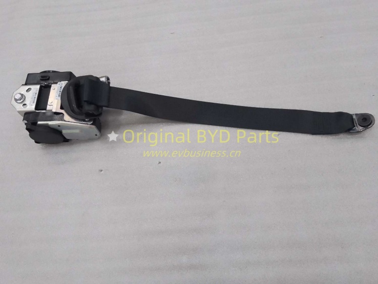 Front seat belt, right