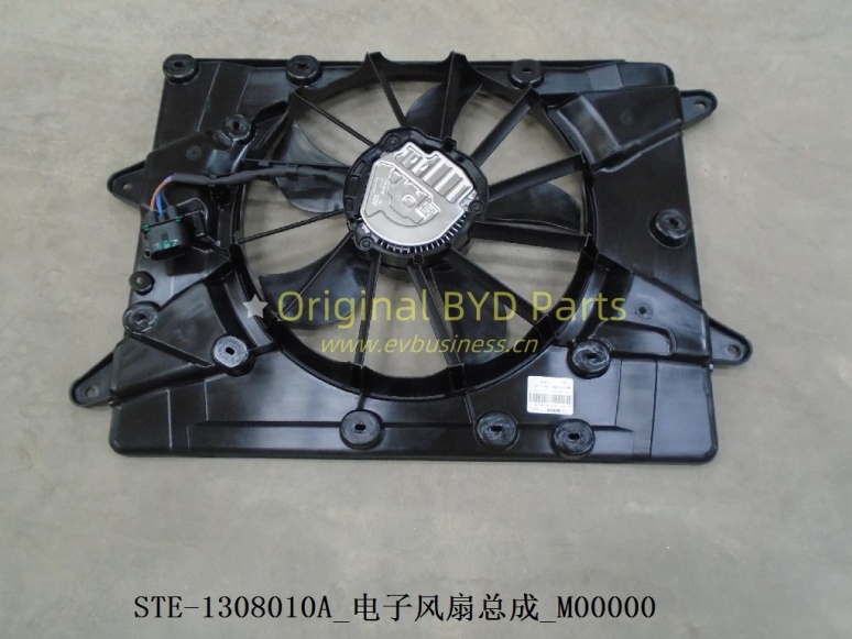 Electronic Fan Assembly I