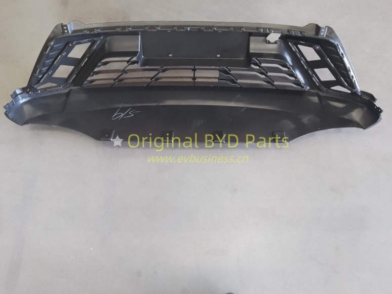 The lower body of the front bumper