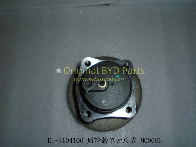 Rear hub unit 