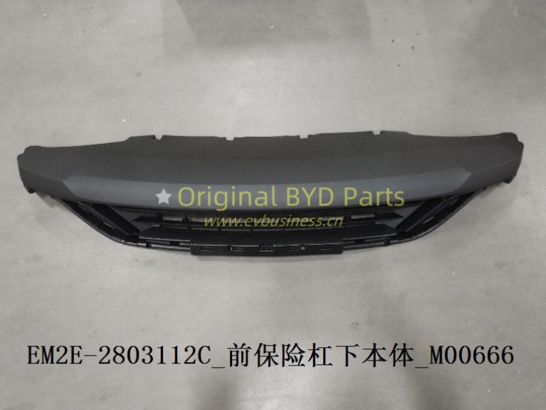 The lower body of the front bumper