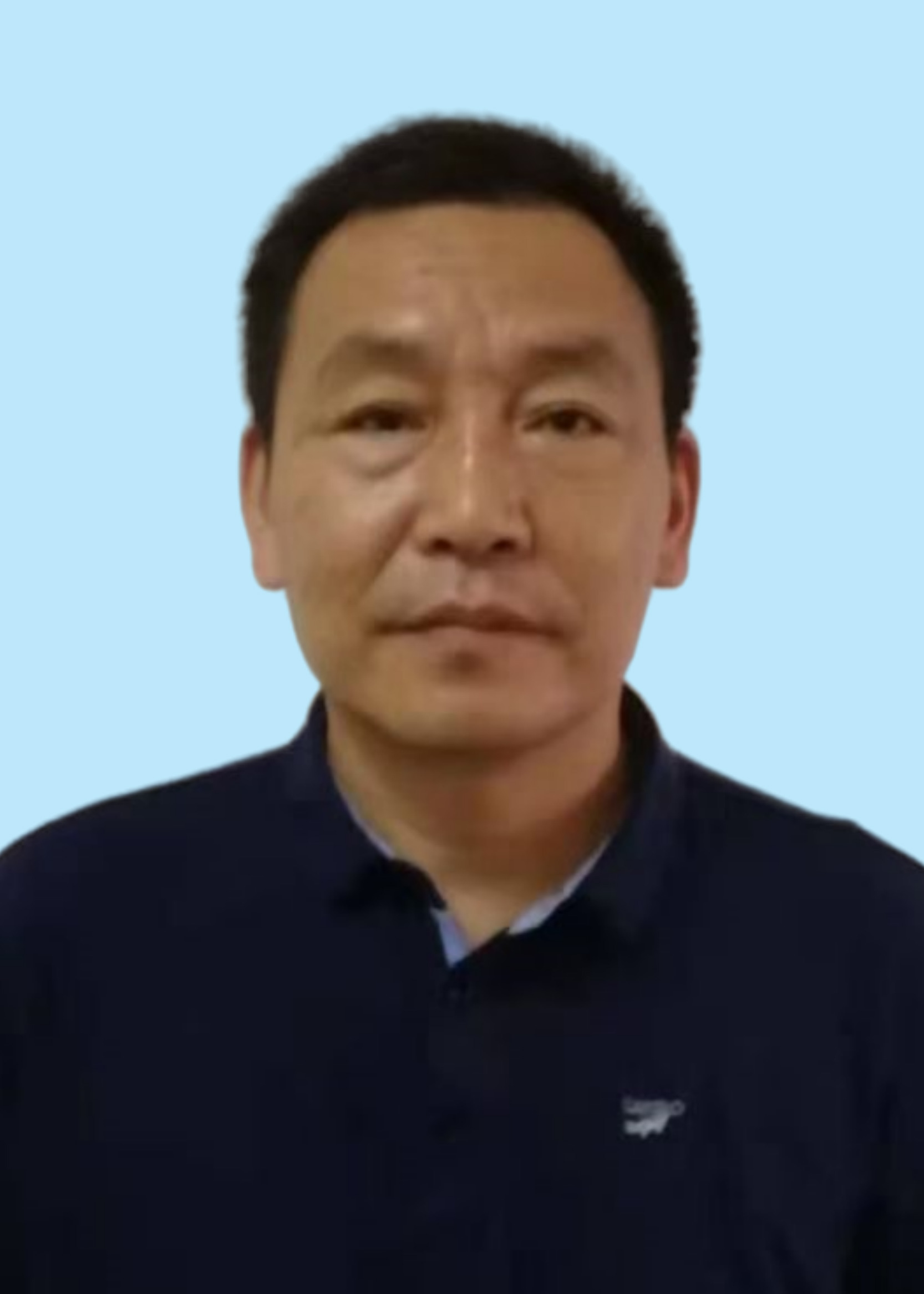 描述