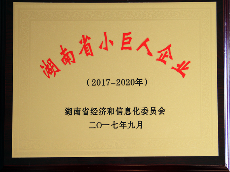 湖南省小巨人企业