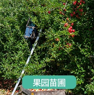 果园果圃