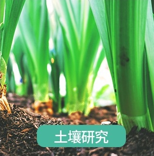 土壤研究