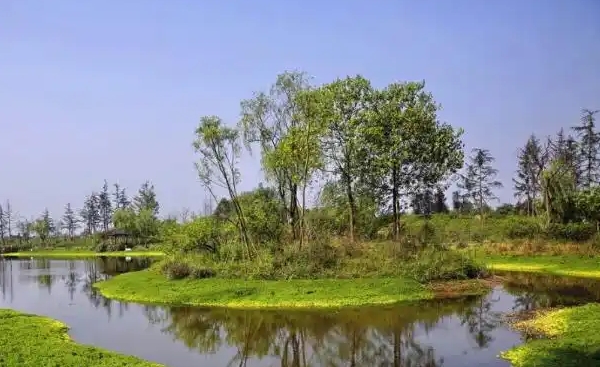 景观河道