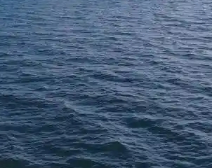 大坝安全监测_3_20241121_17321559330025730