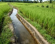 灌区节水