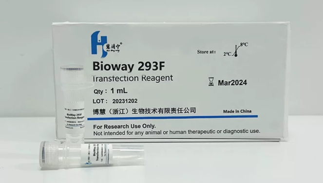 Bioway 293F转染试剂