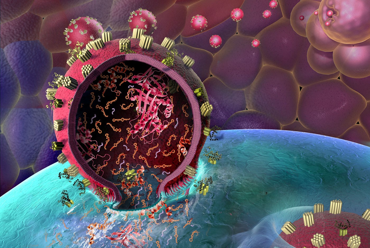 Cell Biology