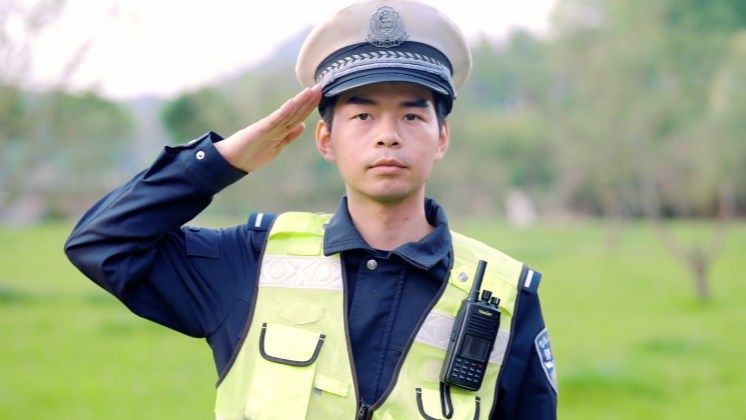 政府/行政单位/事业单位/国企央企/市局