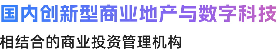 描述