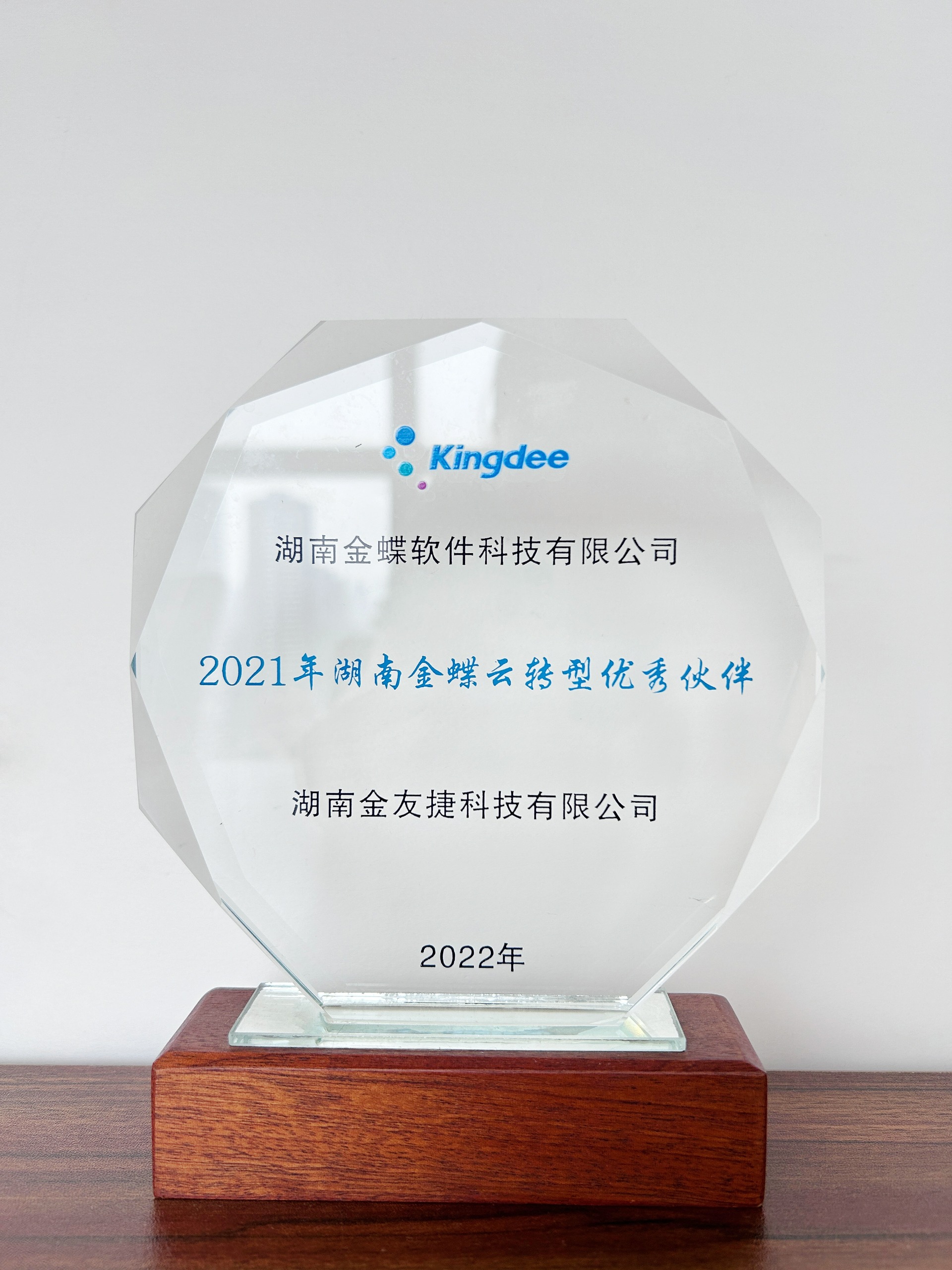 转型优秀伙伴奖正面