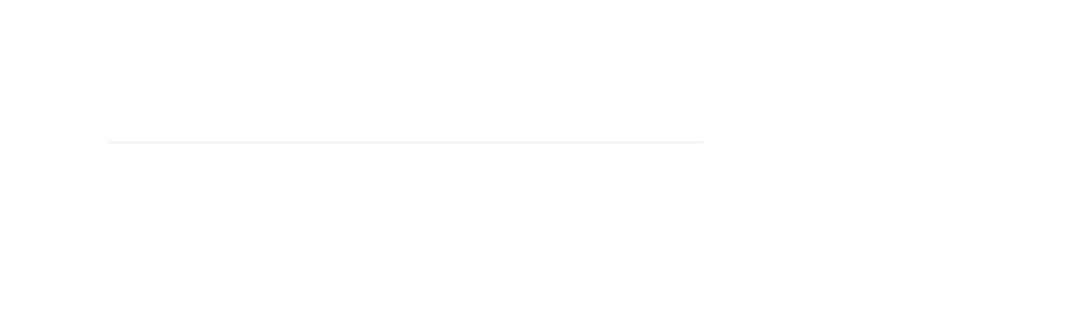 描述