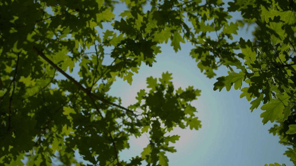 BBT offer global innovative solutions to deliver better health for everyone