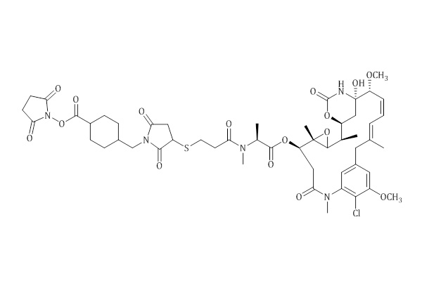 DM1-SMCC