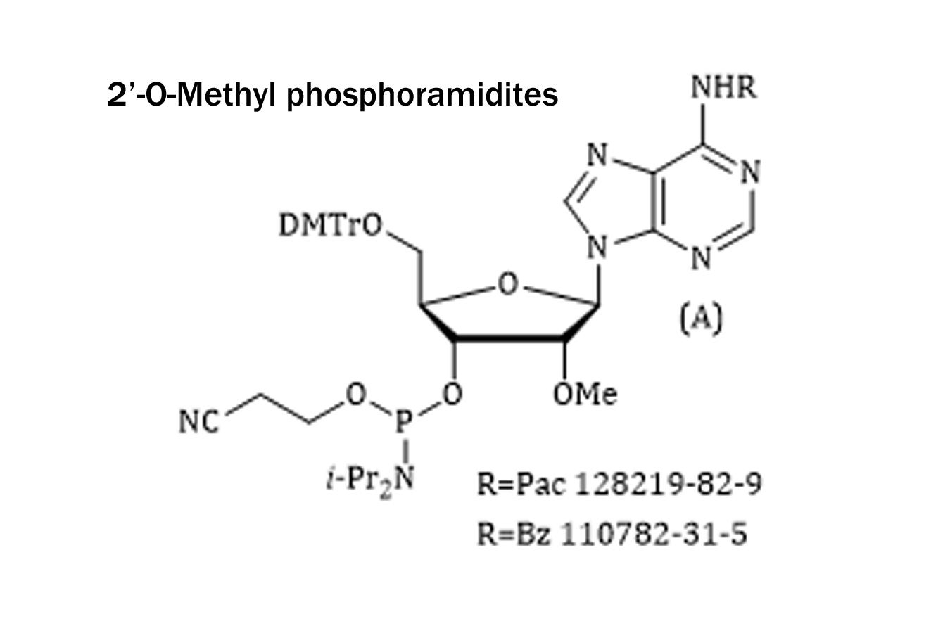 R=Pac 128219-82-9;R=Bz 110782-31-5