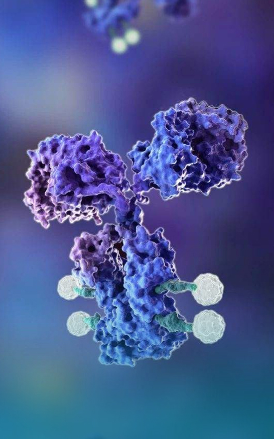 Antibody-Drug Conjugates