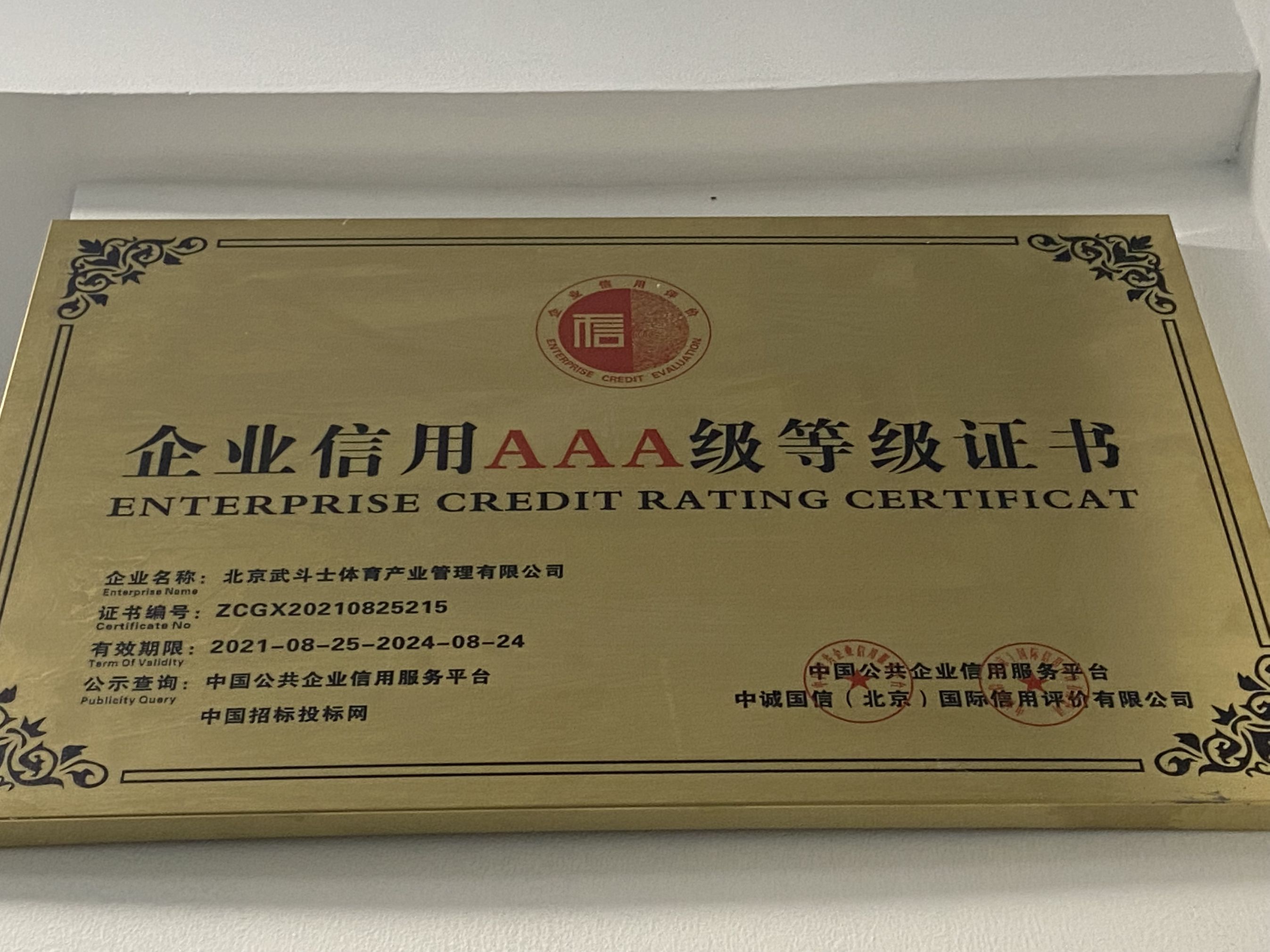 北京武斗士体育产业有限公司3A级等级证书