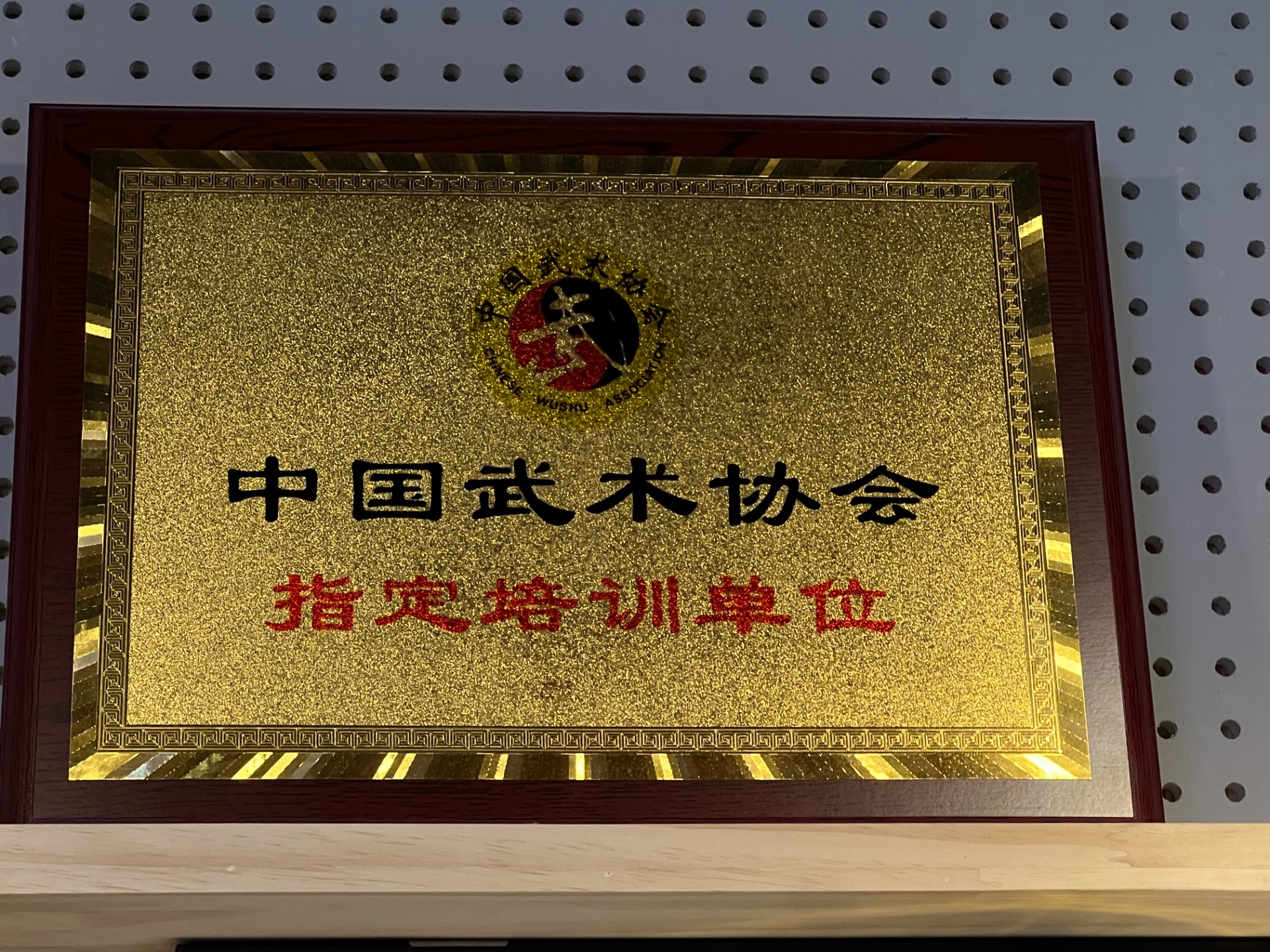 中国武术协会 指定培训单仪