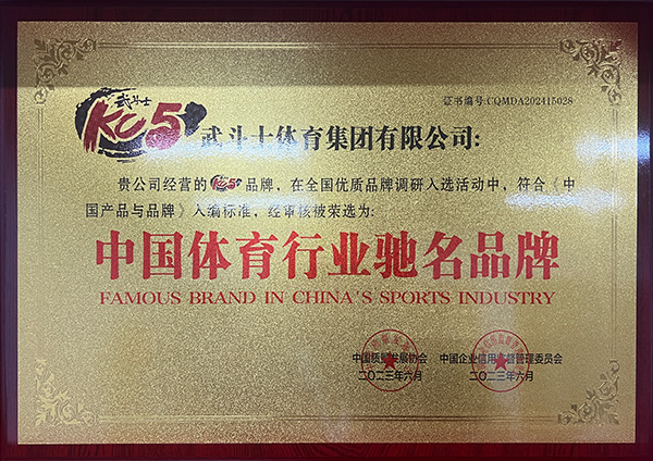 中国体育行业驰名品牌