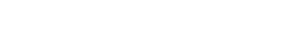 描述