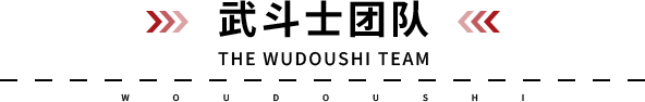 描述