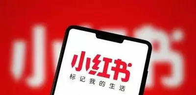 揭秘小红书：如何挖掘搜索流量的隐藏红利