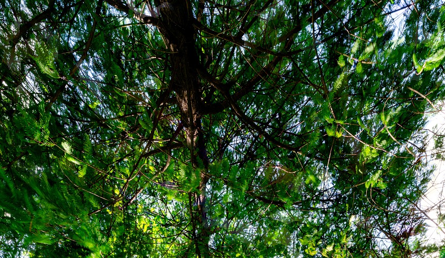 构建基于脑电（EEG）和肌电（EMG）信号的高通量智能感知系统，集成微型传感器、边缘AI芯片和个体化反馈机制，用于康复训练、神经交互与健康管理