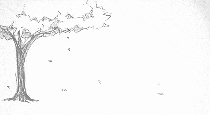 描述