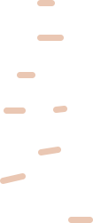 描述