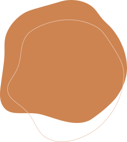 描述