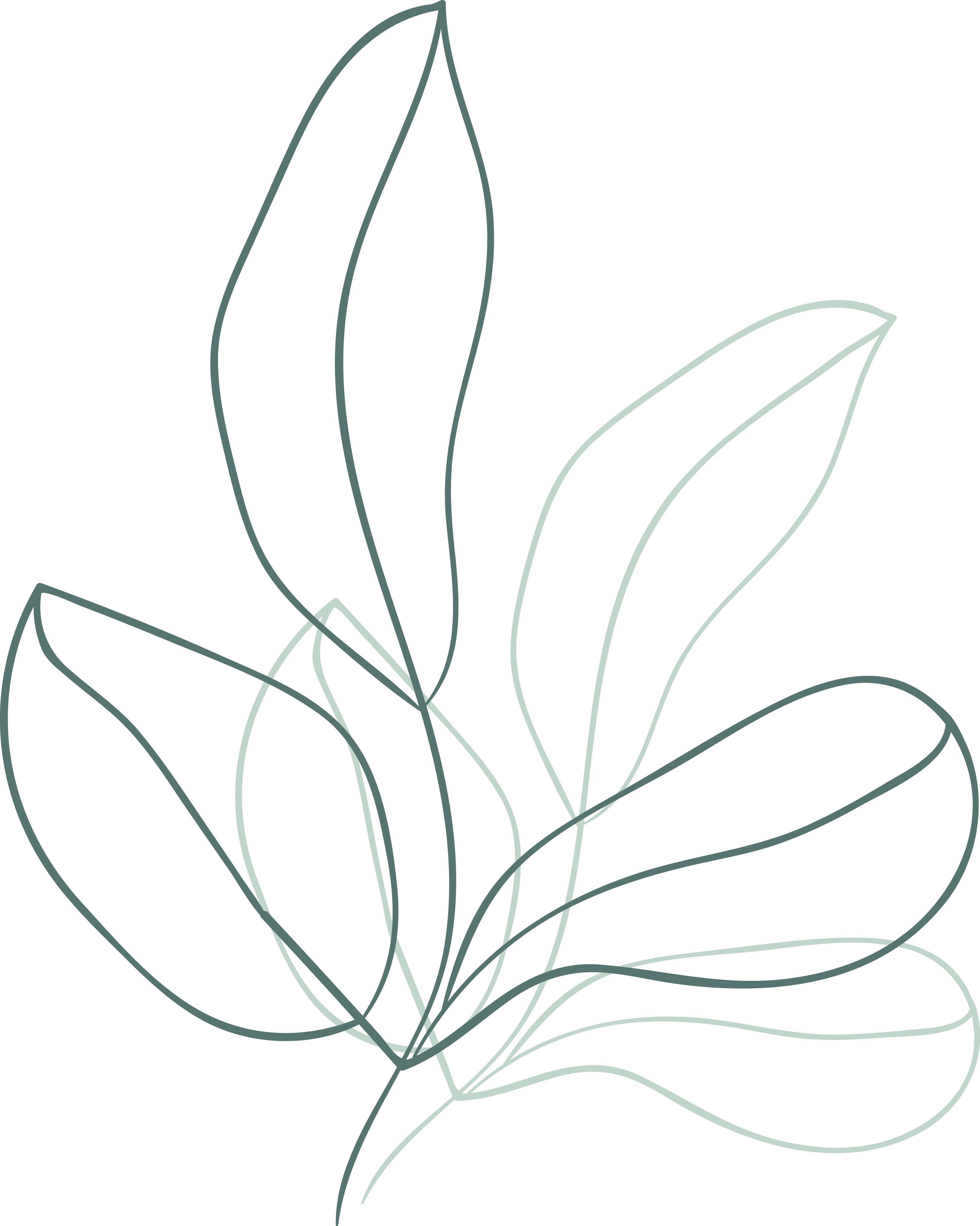 描述