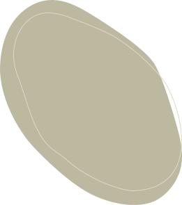 描述